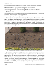 Научная статья на тему 'Об одной из вредных сторон экологии синантропных сизых голубей Columba livia'