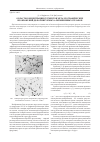 Научная статья на тему 'Область концентрации сегментов металлографических изображений деформируемых алюминиевых сплавов'