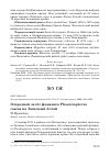 Научная статья на тему 'Очередной залёт фламинго Phoenicopterus roseus на Западный Алтай'