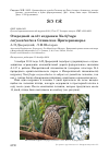 Научная статья на тему 'Очередной залёт кедровки Nucifraga caryocatactes в Сочинское Причерноморье'