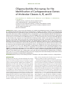 Научная статья на тему 'Oligonucleotide microarray for the identification of carbapenemase genes of molecular classes a, b, and D'