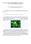 Научная статья на тему 'Онтогенез фотоассимиляционного аппарата Betula pendula Roth. В естественных фитоценозах'