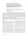 Научная статья на тему 'Optimization of the protocol for the isolation and refolding of the extracellular domain of HER2 expressed in Escherichia coli'