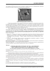 Научная статья на тему 'Оптимизация вычислительных систем с объединением межсетевых экранов в отказоустойчивые кластеры'