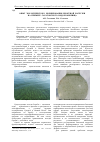 Научная статья на тему 'Опыт экологического нормирования биогеной нагрузки на примере Саратовского водохранилища'