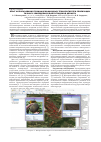 Научная статья на тему 'Опыт использования геоинформационных технологий при реализации точного земледелия в Волгоградской области'