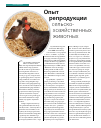 Научная статья на тему 'Опыт репродукции сельскохозяйственных животных'