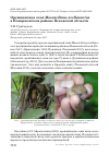 Научная статья на тему 'Орешниковая соня Muscardinus avellanarius в Новоржевском районе Псковской области'