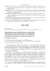 Научная статья на тему 'Орлан-белохвост Haliaeetus albicilla в Белорусском Поозерье: материалы по биологии вида в пределах ареала'