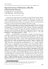 Научная статья на тему 'Орлан-белохвост Haliaeetus albicilla в Псковской области'