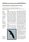 Научная статья на тему 'Орлан-белохвост в Самарской области, Россия'