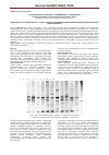 Научная статья на тему 'Orobanchaceae L. туысы мен Ephedra L. туысы тҥрлерінің тҥраралық днқ полиморфизміне негізделген филогенетикалық биосистематикасы'