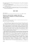 Научная статья на тему 'Осеннее нахождение дрофы-красотки Chlamydotis undulata в Семипалатинском Прииртышье'