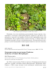 Научная статья на тему 'Осенняя встреча пеганки tadorna tadorna в Санкт-Петербурге'