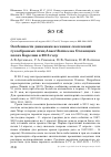 Научная статья на тему 'Особенности динамики весенних скоплений гусеобразных птиц Anseriformes на Олонецких полях Карелии в 2013 году'