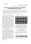 Научная статья на тему 'Особенности гидроабразивного изнашивания высокохромистых чугунов'