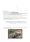 Научная статья на тему 'Особенности распространения Physochlaina physaloides (Solanaceae) в Республике Бурятия'