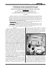 Научная статья на тему 'Особенности усиления электромагнитного поля и увеличение плотности фотонных состояний в растительных фотоннокристаллических структурах'