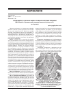 Научная статья на тему 'Особливості органогенезу травної системи людини'