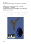 Научная статья на тему 'Отражение света от белых пятен на хвосте вальдшнепа Scolopax rusticola в полёте'