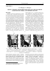 Научная статья на тему 'Оценка технико-экономических показателей сплошной камерной системы с обрушением кровли'