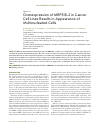 Научная статья на тему 'Overexpression of mrps18-2 in cancer cell lines results in appearance of multinucleated cells'