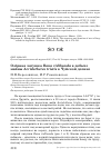 Научная статья на тему 'Озёрная лягушка Rana ridibunda в добыче майны Acridotheres tristis в Чуйской долине'