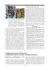 Научная статья на тему 'Параметрические особенности пищеварительной системы лебедей-кликунов'