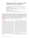 Научная статья на тему 'Pathogenesis of type 1 diabetes mellitus and rodent experimental models'