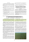 Научная статья на тему 'Перспектива использования кремний-ауксинового биостимулятора на зерновых культурах'
