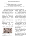 Научная статья на тему 'Перспективы развития производства полиэтилена'