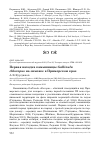 Научная статья на тему 'Первая находка камышницы Gallinula chloropus на зимовке в Приморском крае'