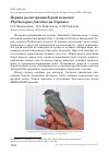 Научная статья на тему 'Первая регистрация бурой пеночки Phylloscopus fuscatus на Украине'