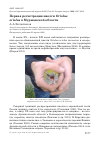 Научная статья на тему 'Первая регистрация иволги oriolus oriolus в Мурманской области'