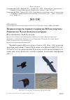 Научная статья на тему 'Первая встреча чёрного коршуна Milvus migrans lineatus на Чукотском полуострове'