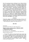 Научная статья на тему 'Первая встреча овсянки-ремеза Emberiza rustica в Саратовской области'