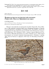 Научная статья на тему 'Первая встреча пестрогрудой овсянки Passerella iliaca в Приморском крае'