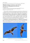 Научная статья на тему 'Первая встреча степного луня Circus macrourus в Мурманской области'