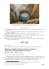 Научная статья на тему 'Первая зимняя встреча серого журавля grus grus в Краснодарском крае'