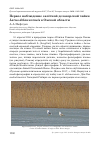 Научная статья на тему 'Первое наблюдение залётной делавэрской чайки Larus delawarensis в Омской области'
