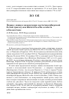 Научная статья на тему 'Первое зимнее нахождение восточносибирской белой трясогузки Motacilla alba ocularis в Казахстане'