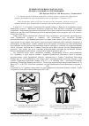 Научная статья на тему 'Первый герб Приморской области: «Предполагаемый» и утвержденный'