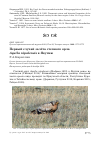 Научная статья на тему 'Первый случай залёта степного орла Aquila nipalensis в Якутию'