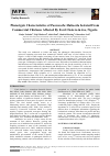Научная статья на тему 'Phenotypic Characteristics of Pasteurella Multocida Isolated From Commercial Chickens Affected By Fowl Cholera in Jos, Nigeria'