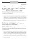 Научная статья на тему 'Photophysical and in vitro antibacterial studies of 2,6-dibromo- BODIPY dye substituted with dithienylenevinylene at 3,5-positions'