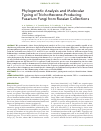 Научная статья на тему 'Phylogenetic analysis and molecular typing of trichothecene-producing Fusarium fungi from Russian collections'