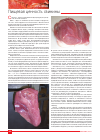 Научная статья на тему 'Пищевая ценность свинины'