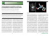 Научная статья на тему 'Подбор индивидуального праймера и оптимизация условий проведения полимеразной цепной реакции для обнаружения гена gfp (green fluorescent protein)'