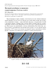 Научная статья на тему 'Полный альбинос в выводке серой вороны Corvus cornix'