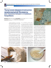 Научная статья на тему 'Получение ферментолизатов мицелиальной биомассы для создания пищевых и кормовых биодобавок'